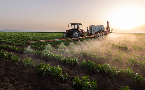 Best Pest Prevention Services  in Hanna City, IL