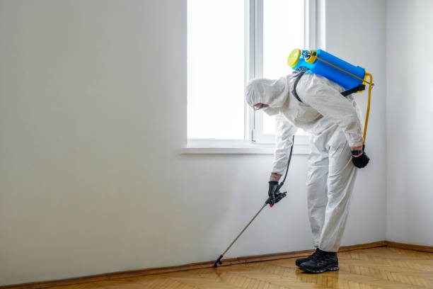 Best Wasp Removal Services  in Hanna City, IL