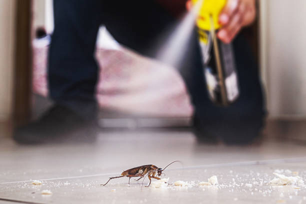 Wildlife Control Services in Hanna City, IL