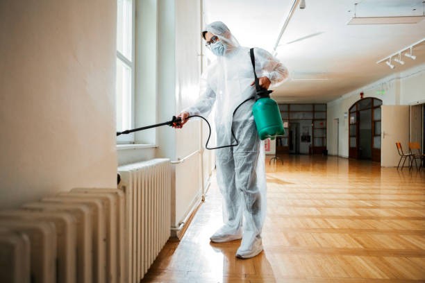 Best Pest Removal Services  in Hanna City, IL
