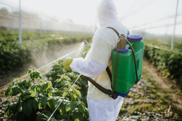 Hanna City, IL Pest Control Company